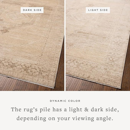 Loloi Chris Loves Julia Palma Collection PLM-07 Wheat/Taupe 7'-10" x 10' Fringe Area Rug Vintage Style Boho Living Room Bedroom Carpet