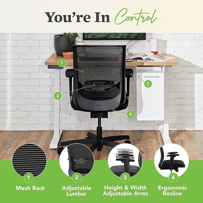 HON Convergence Ergonomic Office Chair, Breathable Back Support Mesh, Adjustable Arms, Computer Chair with Lumbar Support, Rolling Swivel Wheels, Comfortable Synchro-Tilt Recline, Fabric, Pear