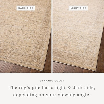 Loloi Chris Loves Julia Palma Collection PLM-10 Wheat/Bark 9'-6" x 13'-1" Fringe Area Rug Vintage Style Boho Living Room Bedroom Carpet