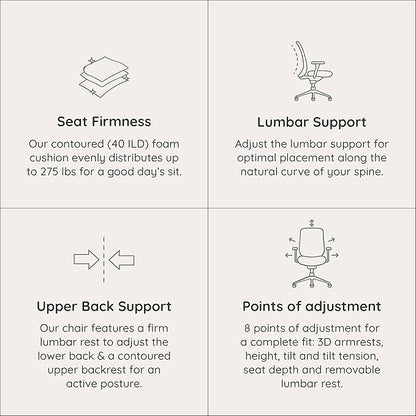 Branch Ergonomic Chair - A Versatile Desk Chair with Adjustable Lumbar Support, Breathable Mesh Backrest, and Smooth Wheels - Experience Optimal Comfort and Support - Poppy
