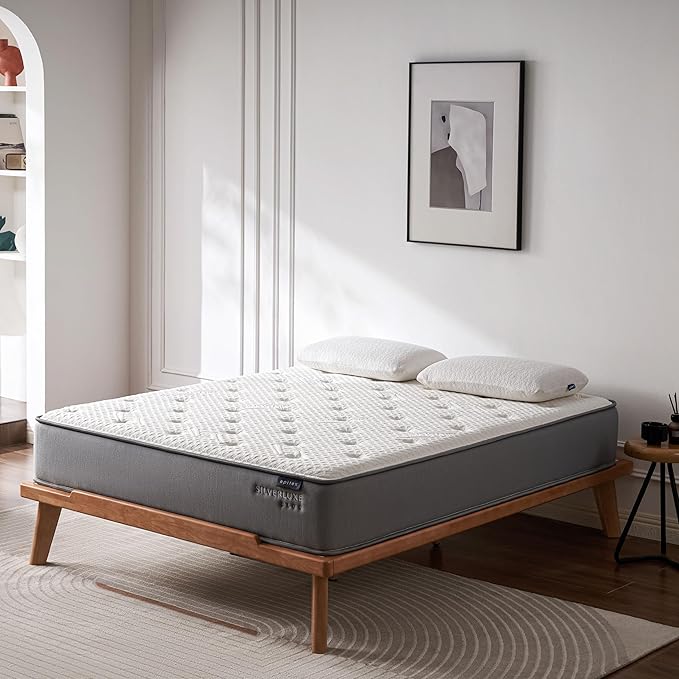 EPITEX Silverluxe Plus Twin Mattress 10 Inch, Gel Memory Foam Twin Mattress in a Box, Individual Pocket Spring for Low Motion Transfer, Medium Firm Mattress, Gray