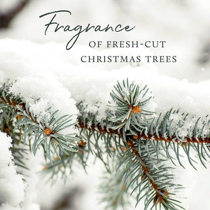 Thymes Frasier Fir Candle – Pine Needle Design – Holiday Scented Candle – Notes of Crisp Siberian Fir, Cedarwood & Sandalwood – Luxury Home Fragrance Gifts for Women & Men – Gold (Gilded, 13 oz)