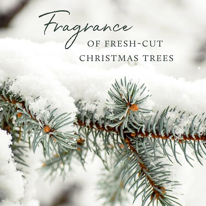 Thymes Home Fragrance Mist – Room Air Fresheners for Home Long Lasting – Air Freshener Spray – Pine Room Spray with Notes of Crisp Siberian Fir Needles, Cedarwood & Sandalwood (Frasier Fir, 3 oz)
