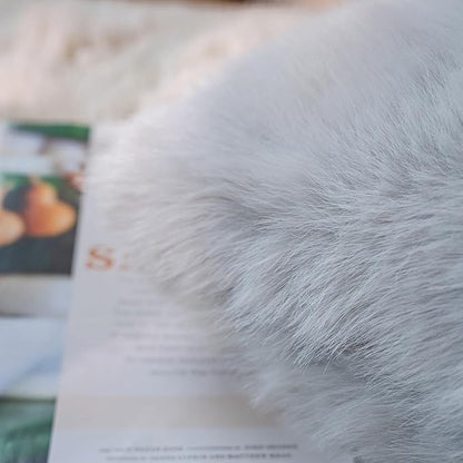 Neelvin Light Grey Faux Fur Cozy Fluffy Double-Sided Decorative Throw Pillow Covers 12x20 inch Set of 2,Velvet Pillowcase Cushion Case for Sofa Couch