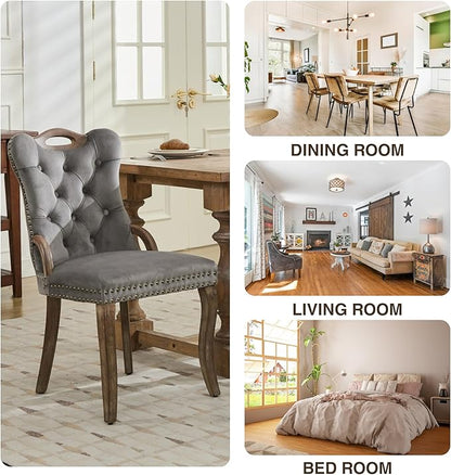Velvet Dining Chairs Set of 2, Solid Wood Handles, Wooden Upholstered Dining Chair, Vintage Copper Nail Decoration, Mid Century Modern Kitchen Chair (Grey, Set of 2)