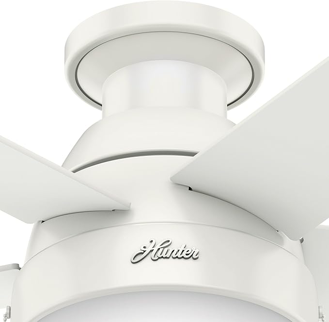 Hunter Fan 46 inch Contemporary Ceiling Fan with Light in Premier Bronze (Renewed) (Fresh White)