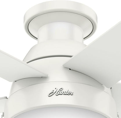 Hunter Fan 46 inch Contemporary Ceiling Fan with Light in Premier Bronze (Renewed) (Fresh White)