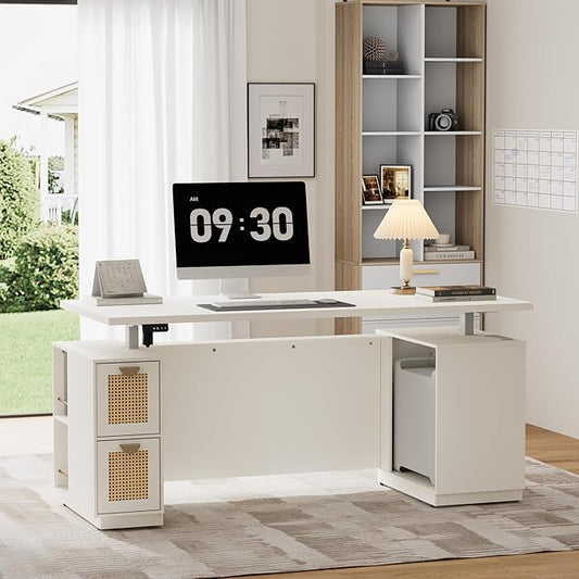 71" Executive Desk with Storage & Privacy Panel, Electric Adjustable Height Standing Desk for Home Office, 1.18" Desktop, Built-in Charging Station,White Rattan