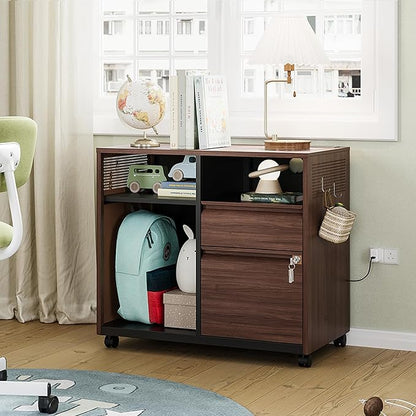 Letaya Mobile 2 Drawer File Cabinet with Lock, Metal Lateral Printer Stand Filing Storage Cabinets with Shelves for Home Office-A4/F4/Letter
