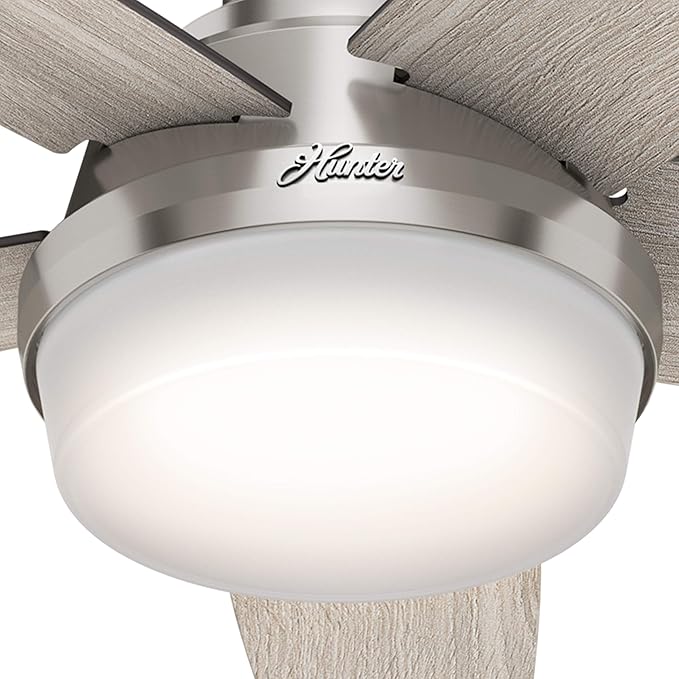 Hunter Fan 48 inch Low Profile Brushed Nickel Ceiling Fan with LED Light Kit and Remote Control (Renewed)