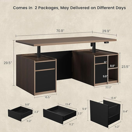 Executive Standing Desk with Drawers & Storage, 71'' Adjustable Electric Stand Up Wood Desk with Privacy Panel, AC/USB, File Cabinet, Large One-Piece Destop for Home Office, Black Walnut