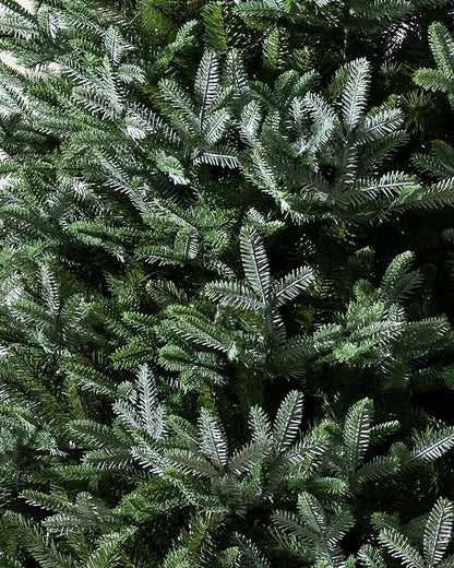 Balsam Hill European Silver Fir - Elegant Artificial Christmas Tree with True Needle Foliage Available Unlit or with LED Clear Lights, Unlit, 6'
