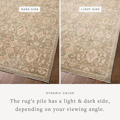 Loloi Chris Loves Julia Palma Collection PLM-03 Lagoon/Natural 2'-7" x 12'-0" Runner Rug Vintage Style Boho Living Room Bedroom Carpet