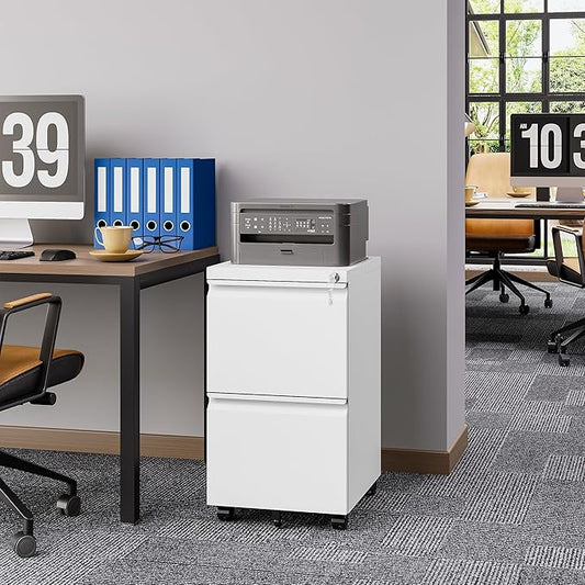 Rolling File Cabinet with Lock, 2 Drawer Metal Mobile Office Filing Cabinet Under Desk for Legal/Letter Size(Assembly Required)