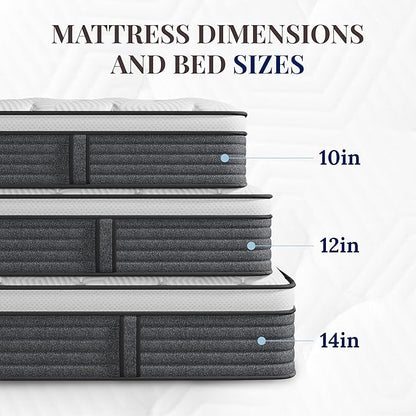 CH CHARME HOUSE Queen Mattress, 14 Inch Hybrid Queen Size, Medium Feel Foam and Individual Pocket Springs, Fiberglass Free Bed Mattress, Extra Edge Support, Pressure Relief, CertiPUR-US