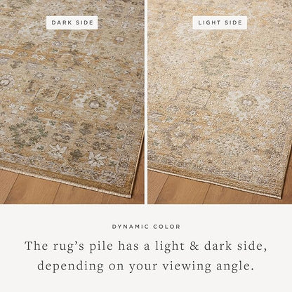 Loloi Magnolia Home by Joanna Gaines Pace Collection PAC-07 Sunset/Stone 7'-8" x 7'-8" Round Area Rug