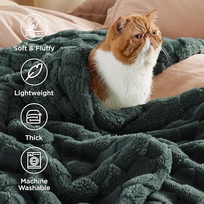 Bedsure GentleSoft Twin Blanket for Bed Dark Green - Super Soft Cozy Blankets for Women Men Girls, Cute Fuzzy Fleece Throws for Bedroom Couch, 60x80 Inches