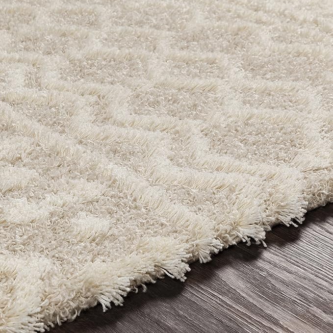 Livabliss Hapsburg Moroccan Shag Area Rug, 7'10" x 10'2, Beige