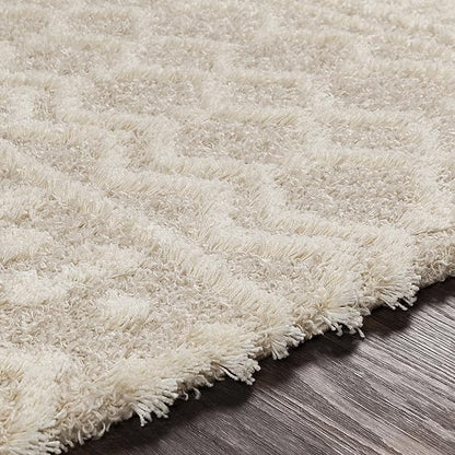Livabliss Hapsburg Moroccan Shag Area Rug, 7'10" x 10'2, Beige