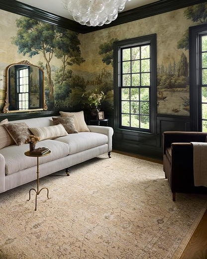 Loloi Chris Loves Julia Palma Collection PLM-10 Wheat/Bark 3'-6" x 5'-6" Fringe Accent Rug Vintage Style Boho Living Room Bedroom Carpet