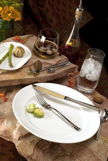 Fortessa Lucca 18/10 Stainless Steel Flatware Solid Handle Table Knife, Set of 12, Silver