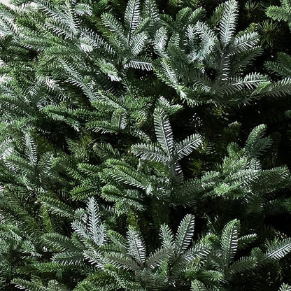 Balsam Hill European Silver Fir - Elegant Artificial Christmas Tree with True Needle Foliage Available Unlit or with LED Clear Lights, Unlit, 5'