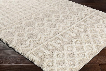 Livabliss Hapsburg Moroccan Shag Runner Area Rug,2'7" x 10',Beige