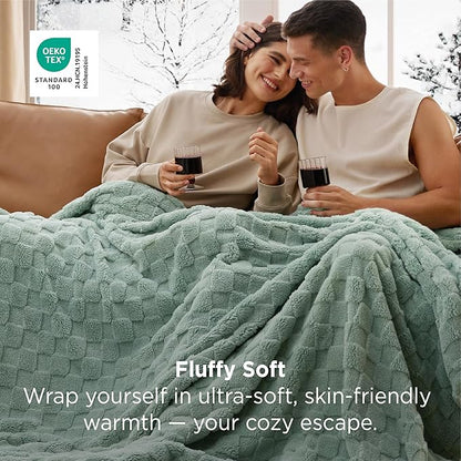 Bedsure GentleSoft Blankets Queen Size for Bed - Super Soft Cozy Blanket for Women Men Girls, Large Fuzzy Fleece Throw for Bedroom Decor, Sage Green, 90x90 Inches