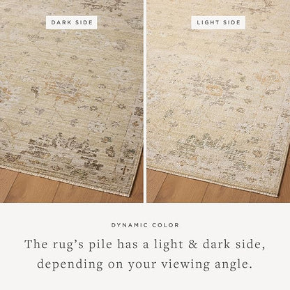 Loloi Magnolia Home by Joanna Gaines Pace Collection PAC-05 Apricot/Multi 11'-6" x 15'-4" Area Rug