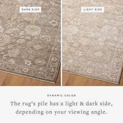 Loloi Magnolia Home by Joanna Gaines Pace Collection PAC-03 Taupe/Wheat 2'-3" x 3'-10" Accent Rug
