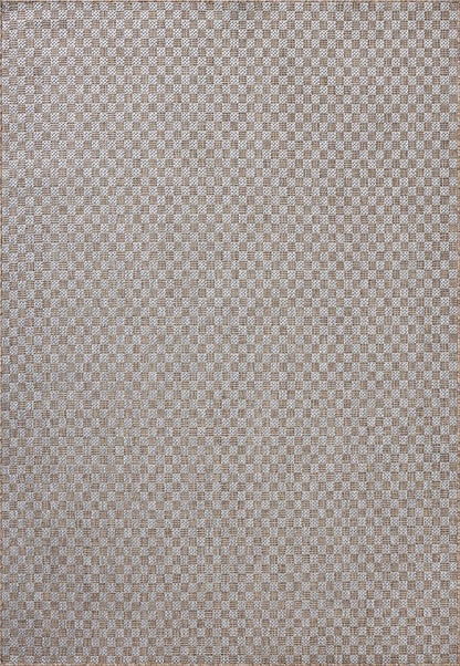 Loloi Amber Lewis Topanga Collection TOP-02 Natural/Silver 3'-11" x 5'-11" Indoor/Outdoor Accent Rug