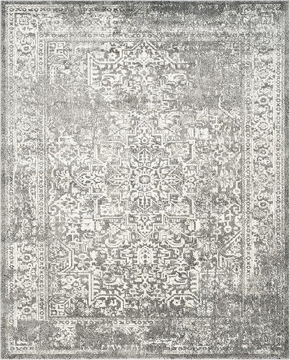 SAFAVIEH Area Rug 10x14 - Evoke Collection - Large - Grey & Ivory, Distressed Design, Non-Shedding & Easy to Clean, Ideal for Living Room, Bedroom, Dining Space (EVK256D)
